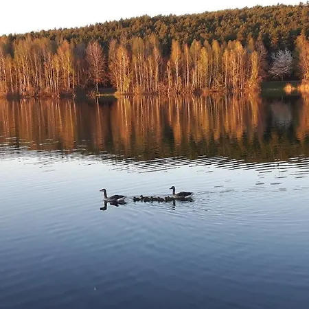 Ferienwohnung Schwalbennest Am Igelsbachsee *