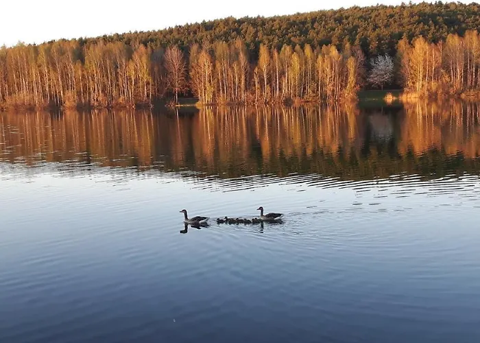 Ferienwohnung Schwalbennest Am Igelsbachsee *